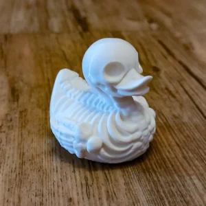 Skeleton duck